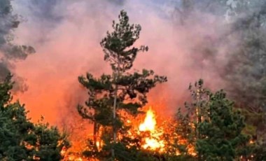 Kahramanmaraş’ta 18 saatte söndürülen yangında 50 hektar orman yandı