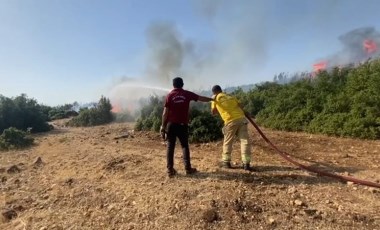 Kahramanmaraş’ta iki farklı yerde orman yangını!