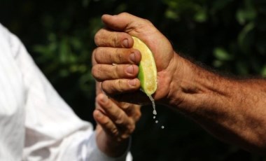 Çukurova'da erken hasat kaliteyi düşürdü! İhracat açısından büyük risk taşıyor