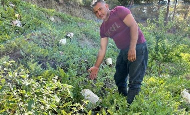 Hataylı çiftçi mahsulünün yanmaması için ilginç bir çözüm buldu