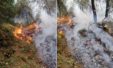 Karabük’te orman yangını: Ekipler müdahale ediyor!