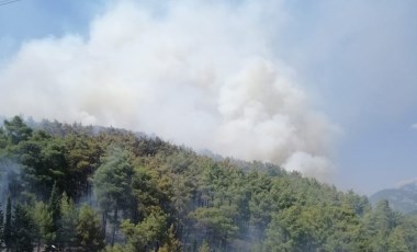 Antalya'da orman yangını! (01 Ağustos 2024)