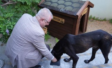 Edremit Belediye Başkanı köpek sahiplendi