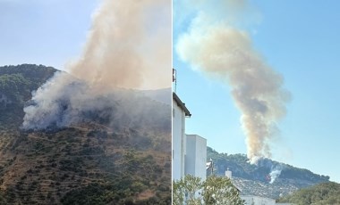 Çanakkale’de orman yangını!