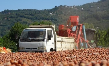 Yılda sadece 1,5 ay çalışıyorlar, saatte 3 bin 500 TL kazanıyorlar