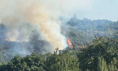 Karşıyaka yangını devam ederken: Bir yangın da Ödemiş'te çıktı