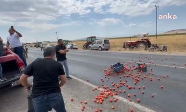 'Çiftçi artık tarlasına girmek istemiyor'