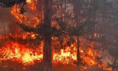 Bolu’daki orman yangınına havadan müdahale yeniden başladı