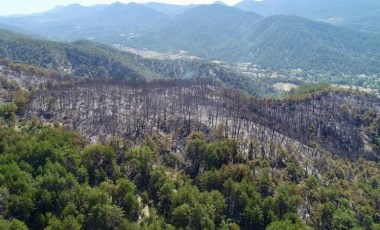 Bolu ve İzmir'deki orman yangınlarında zarar gören alanlar havadan görüntülendi