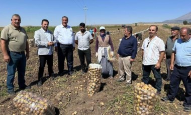 Çiftçinin patatesi tarlada kaldı: Bu halk, biz ekmezsek, dikmezsek ne yiyecek?