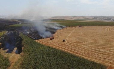 Yangınlar tarım arazilerini yok ediyor: Hasat beklediği verimi vermedi! 19 bin 676 dekar tarım arazisi zarar gördü