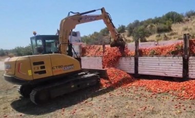 30 ton domatesi elinde kalan üretici, ürünleri kepçeyle yere döktü!