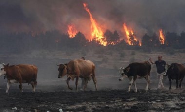 Ankara’da başlayıp Bolu’ya sıçrayan yangın yüzünden iki köy tahliye edildi