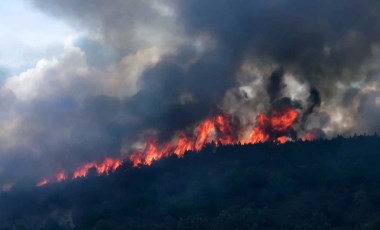 Afyonkarahisar'daki orman yangınında 20 hektar zarar gördü; 2 gözaltı