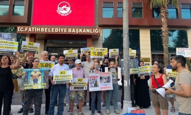 Hayvanseverlerden AKP’li Fatih Belediyesi’nin önünde protesto: ‘Bu yasayı uygulatmayacağız’