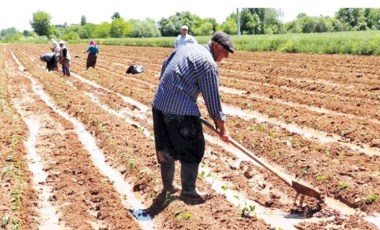 Çiftçilere ödenecek destekler belli oldu: Sadaka gibi kuruş kuruş listelendi! Tarım Kanunu unutuldu...