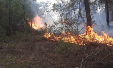 Samsun’da ormanlık alanda yangın: 50 dönüm alan zarar gördü