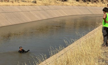 Diyarbakır'da 8 yaşındaki Narin Güran'ın evi yakınlarında kaybolmasıyla ilgili neler biliniyor?