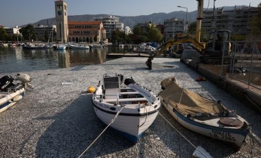 Turistik liman, ölü balıklarla doldu taştı: 'Son 24 saat içinde 40 tondan fazla...'