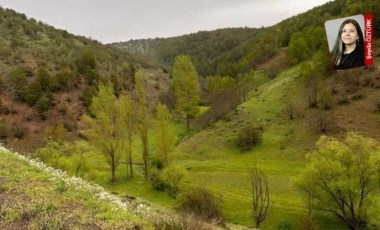 Gümüşhane’de 18.22 hektarlık alanda planlanan maden için ‘ÇED gerekli değil’ kararı verildi