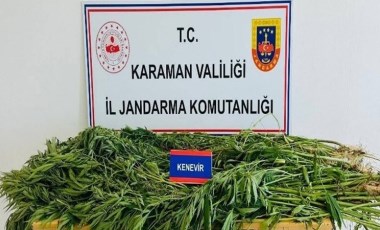 Karaman’da kenevir operasyonu: 3 gözaltı