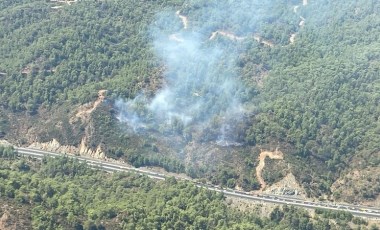 Muğla'da orman yangını!