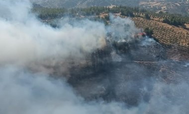 Hatay’da orman yangını