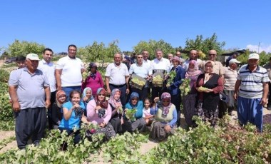 Silifke'de hasat başladı: İlk ürünler 25 TL'den satıldı