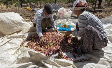 En az 140 TL’lik taban fiyat isteyen üreticiler yollara döküldü, destek istedi: Çiftçi eylemleri büyüyor