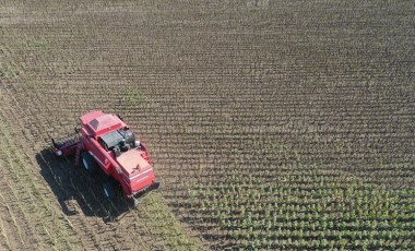 Edirne'de hasat başladı: 1,5 sürecek...