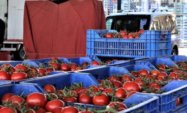 Domatesleri çöpe döktü! Bakanlık ceza kesti