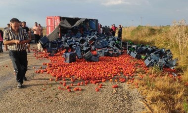 Domates üreticileri isyan etti! 'Ürünler tarlada çürüyor'