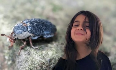 Narin'in cinayetinde 'dedektif böcek' formülü Adli Tıp'ta kavanozda beslenen böcekler çözecek!