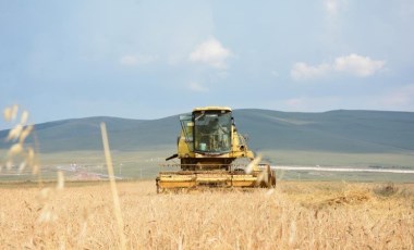 Ardahan'da 13 bin yıllık hasat: 50 yıl aradan sonra ekildi