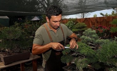 Kurumsal hayatı bırakıp bonsai yetiştirmeye başladı