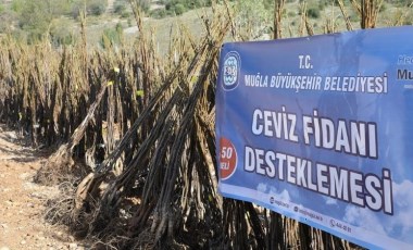 Muğla’da “Her Kapıda Bir Fidan” projesi başladı