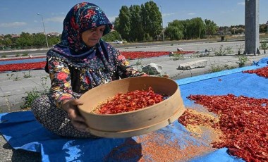 Kayseri'de yetiştiriliyor: Bir mahallenin geçim kaynağı! 12 ton ürün çıkıyor