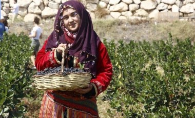 Antalya'da süper meyve hasadı: Üretici dalında sattı! Bahçede 300 TL