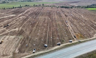 Uçsuz bucaksız arazide yüzlerce işçi ile hasat başladı