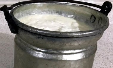 3.500 yıllık mumyalarda kefir peyniri izleri bulundu