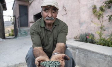 Kahve gibi içiliyor! Tunceli'de toplanıyor: 400 liraya kadar alıcı buluyor!