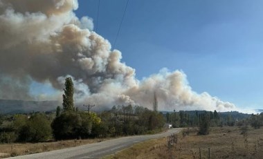 Manisa ve Uşak'ta orman yangını çıktı!