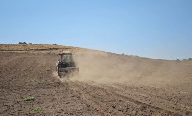 Süphan Dağı eteklerinde ekim başladı: 1 yıl sonra hasat edilecek...