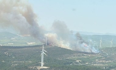 Urla'da orman yangını