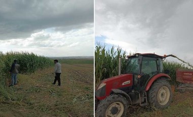 Kars'ta hasat başladı: Yüksek verim bekleniyor