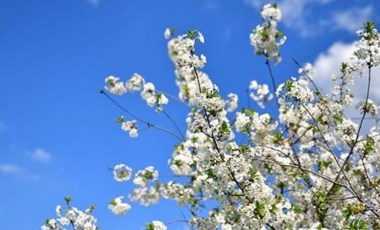 Birinci cemre ne zaman düşecek? Cemre düşme tarihleri