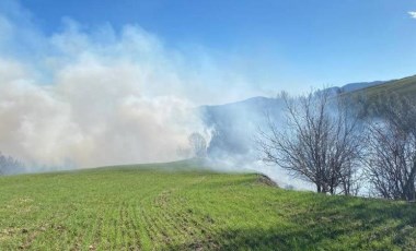 Adana'da orman yangını