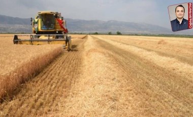 Çiftçinin kazancı sürekli düşerken tüketiciye yansıyan ürün fiyatları uçuyor