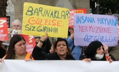 Yaşatacağız Platformu’ndan 'hayvan hakları' protestosu