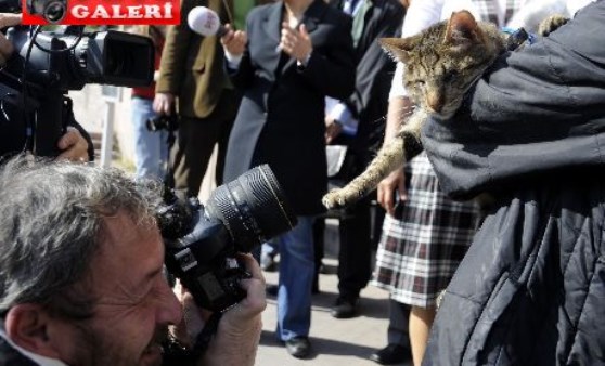 Yamuk'un davası başladı